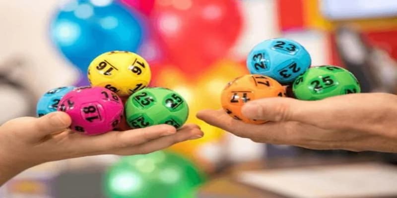 Dàn đề chạm hướng dẫn cách nuôi
