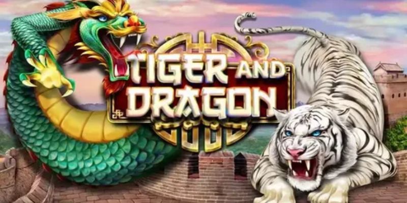 Bí quyết chơi rồng hổ online là yếu tố quan trọng