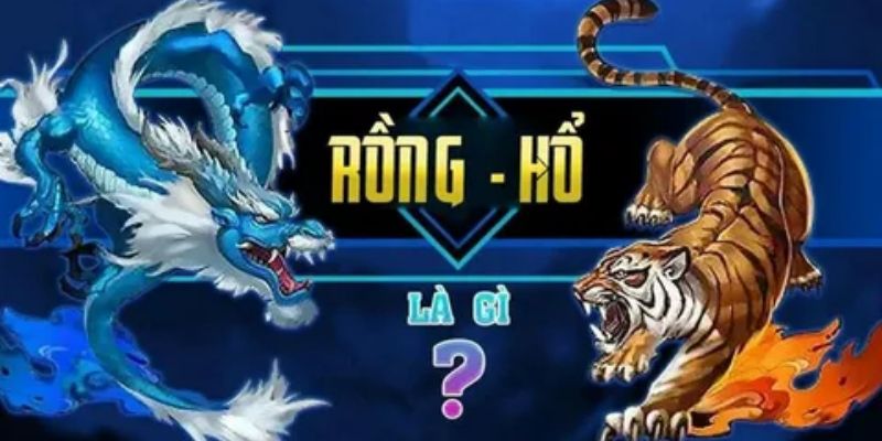 Cách đặt Rồng hổ chuẩn xác giúp tăng tỷ lệ thắng
