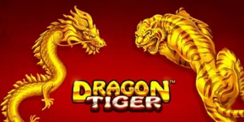 Cách đặt Rồng hổ chuẩn xác là yếu tố then chốt
