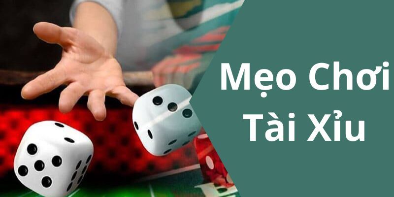 Cách chơi tài xỉu Chiến lược cách chơi tài xỉu hiệu quả mà cao thủ W88 thường áp dụng