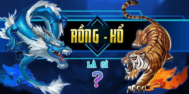 Rồng Hổ Trực Tuyến hiểu rõ bản chất