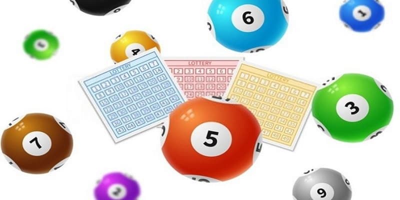 Dàn đề 3 càng miền Bắc các phương pháp phổ biến