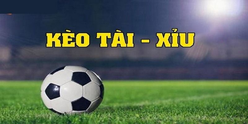 Hướng dẫn xem kèo tài xỉu tại W88 từ cơ bản đến nâng cao