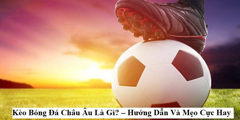 Kinh nghiệm đánh kèo châu Âu dành cho người mới và cao thủ