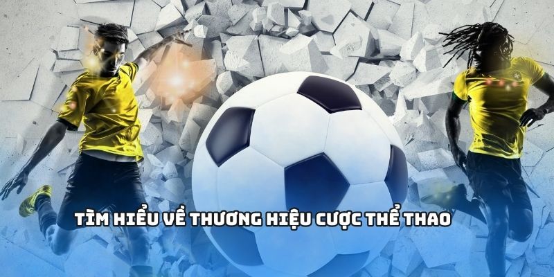 Phân tích chuyên sâu trước khi vào bàn cược