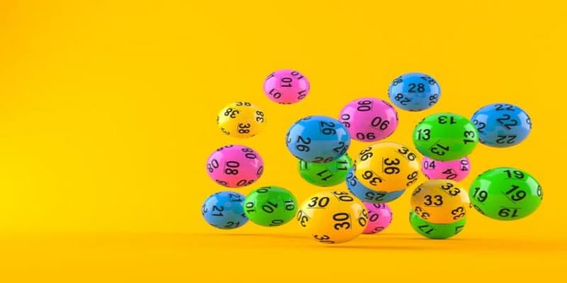 Bạch thủ lô đề Bạch thủ lô đề khái niệm cơ bản