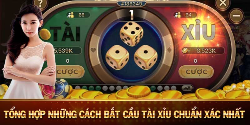 Quy trình bắt cầu tài xỉu chuẩn xác tại W88