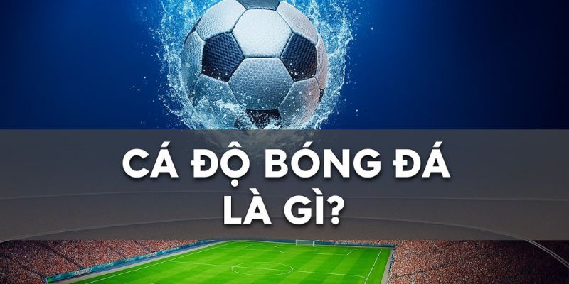 Thế giới cá cược bóng đá trong hệ sinh thái W88