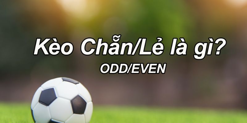 Tổng quan chi tiết về kèo chẵn lẻ là gì tại W88