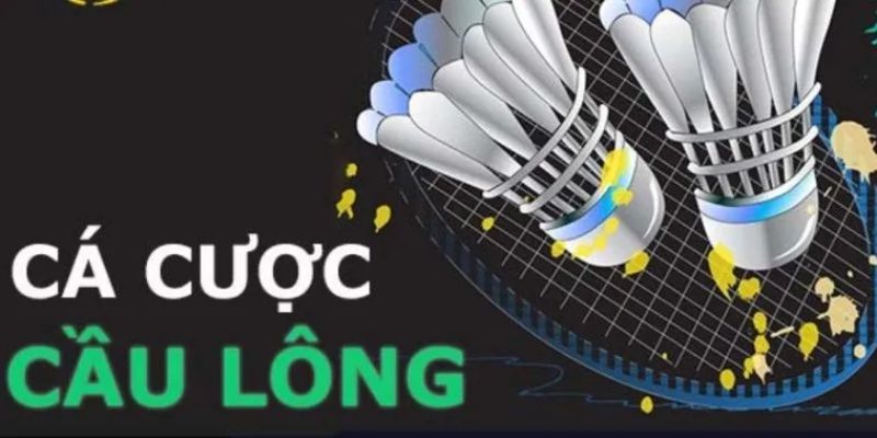 Vì sao cá cược cầu lông ngày càng trở thành xu hướng tại W88