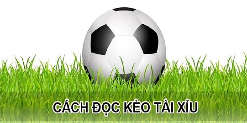 Vì sao nên chọn W88 để áp dụng hướng dẫn xem kèo tài xỉu?